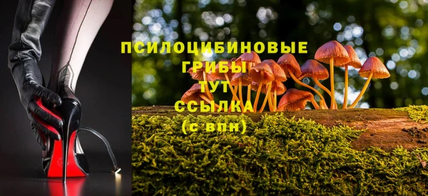 героин Абаза