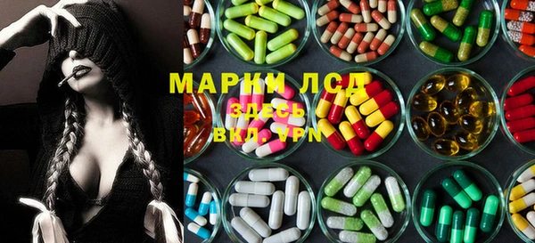 спайс Алзамай