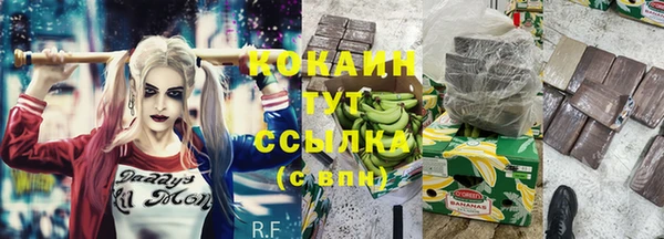 бошки Саяногорск