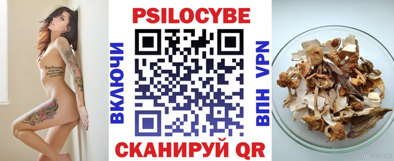 Галлюциногенные грибы Psilocybine cubensis  Бобров 